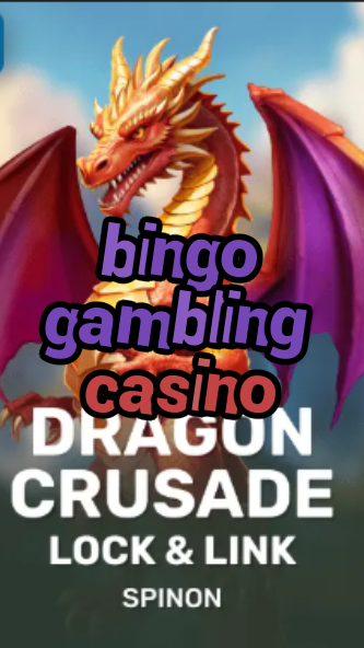 bingo gambling casino-fqqjrm9vrme7zzjgfjql.com