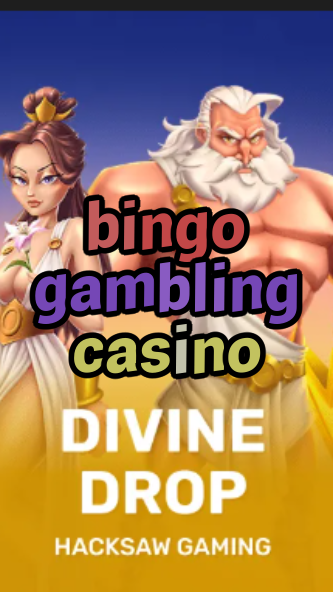 bingo gambling casino-fqqjrm9vrme7zzjgfjql.com